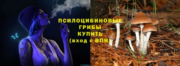 гидра Нефтекумск